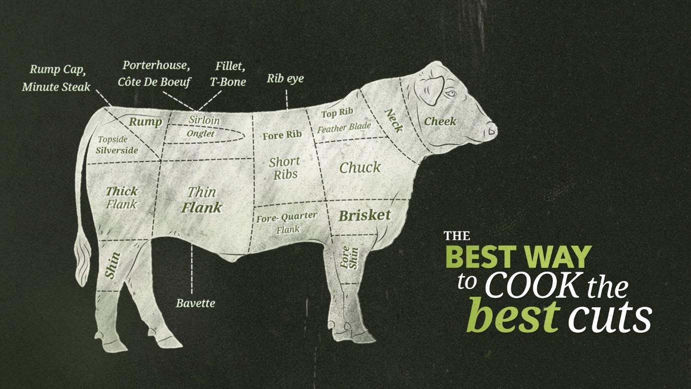 Diagram of beef cuts