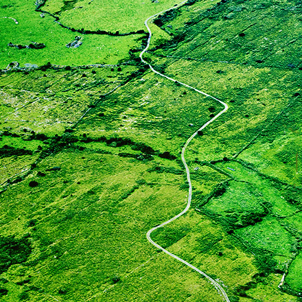 A path winding through green fields