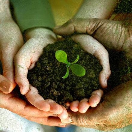 Multi-generational hands holding soil with a seedling growing from the soil