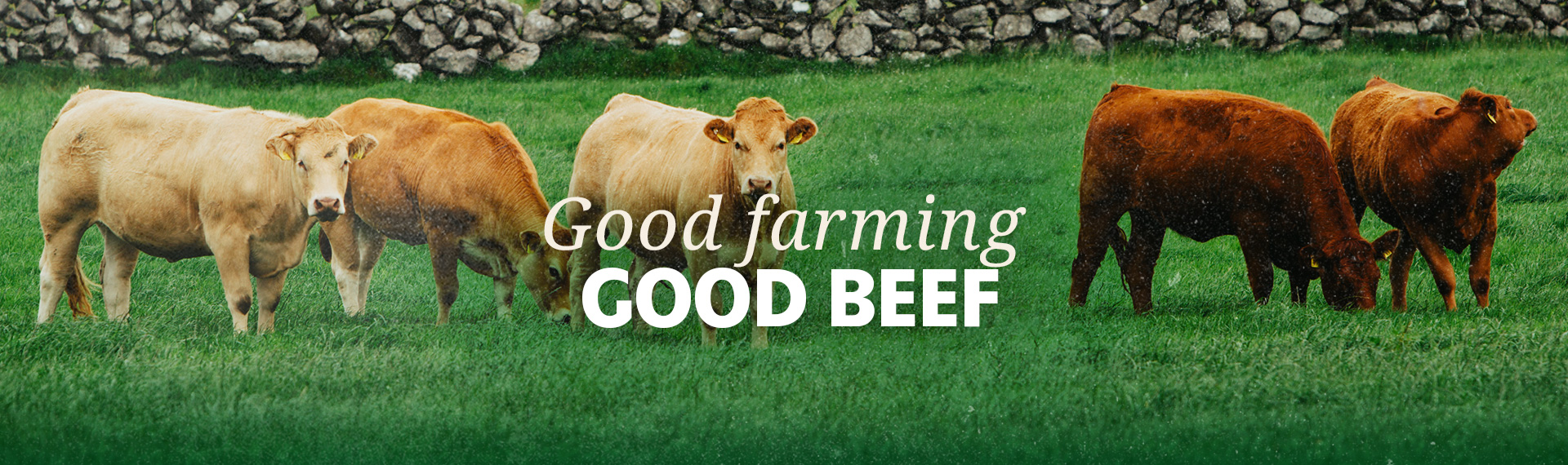 Good farming, good beef
