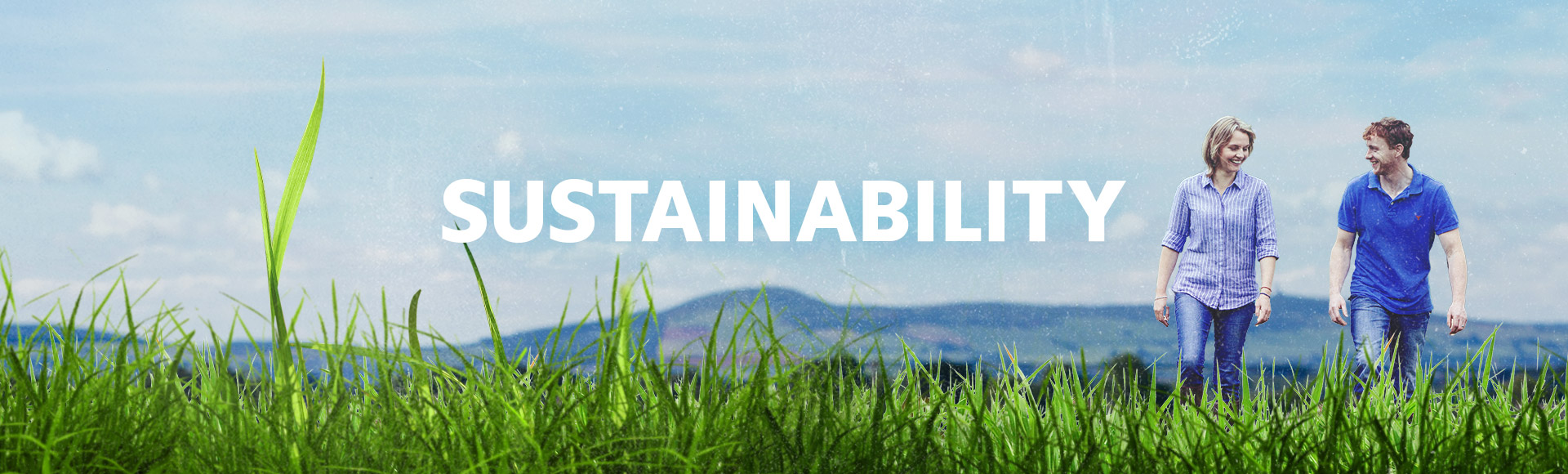 Banner image: Sustainability