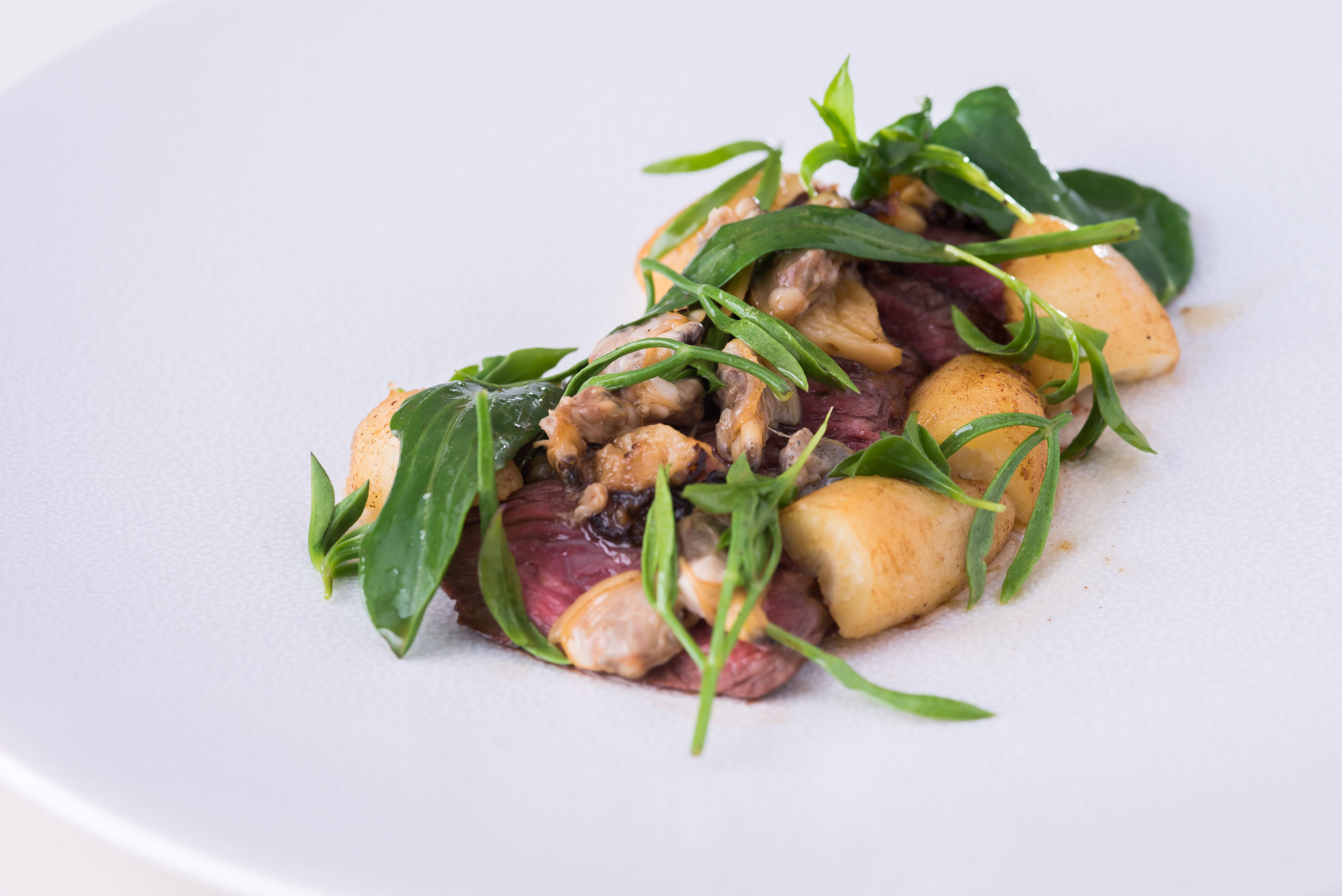 Irish hanger steak, clams, smoked garlic, sea vegetables