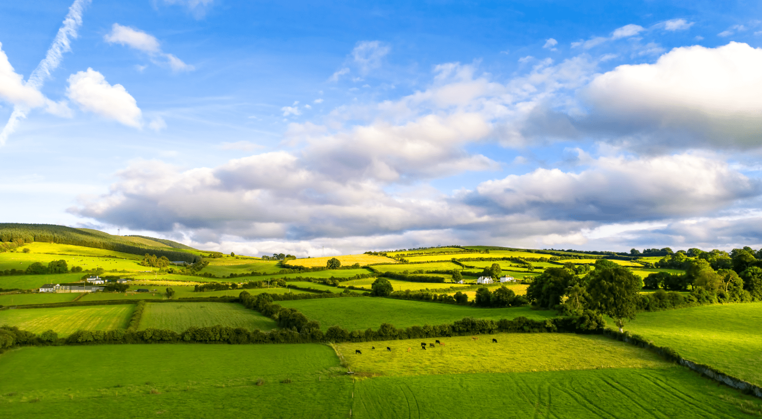 Rolling green hills with blue sky and some clouds