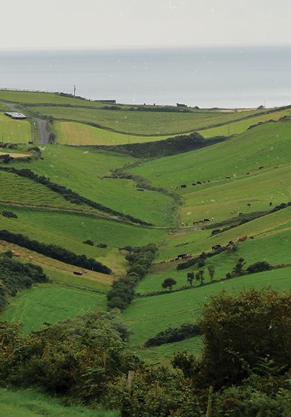 rolling green fields with the sea in the background