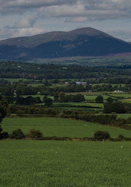 Green fields with hill in the background