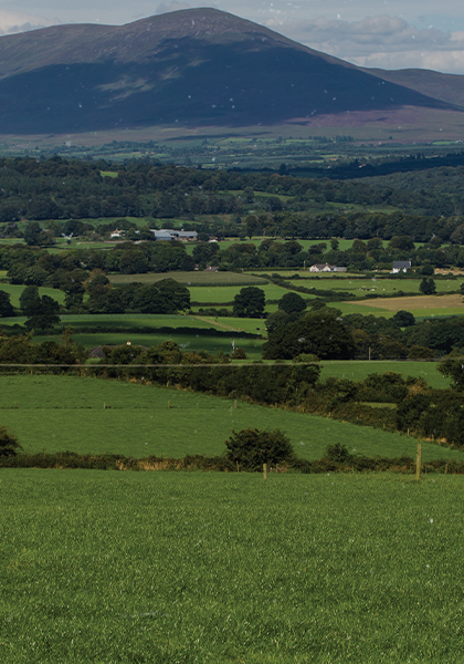 green fields with hill in the background