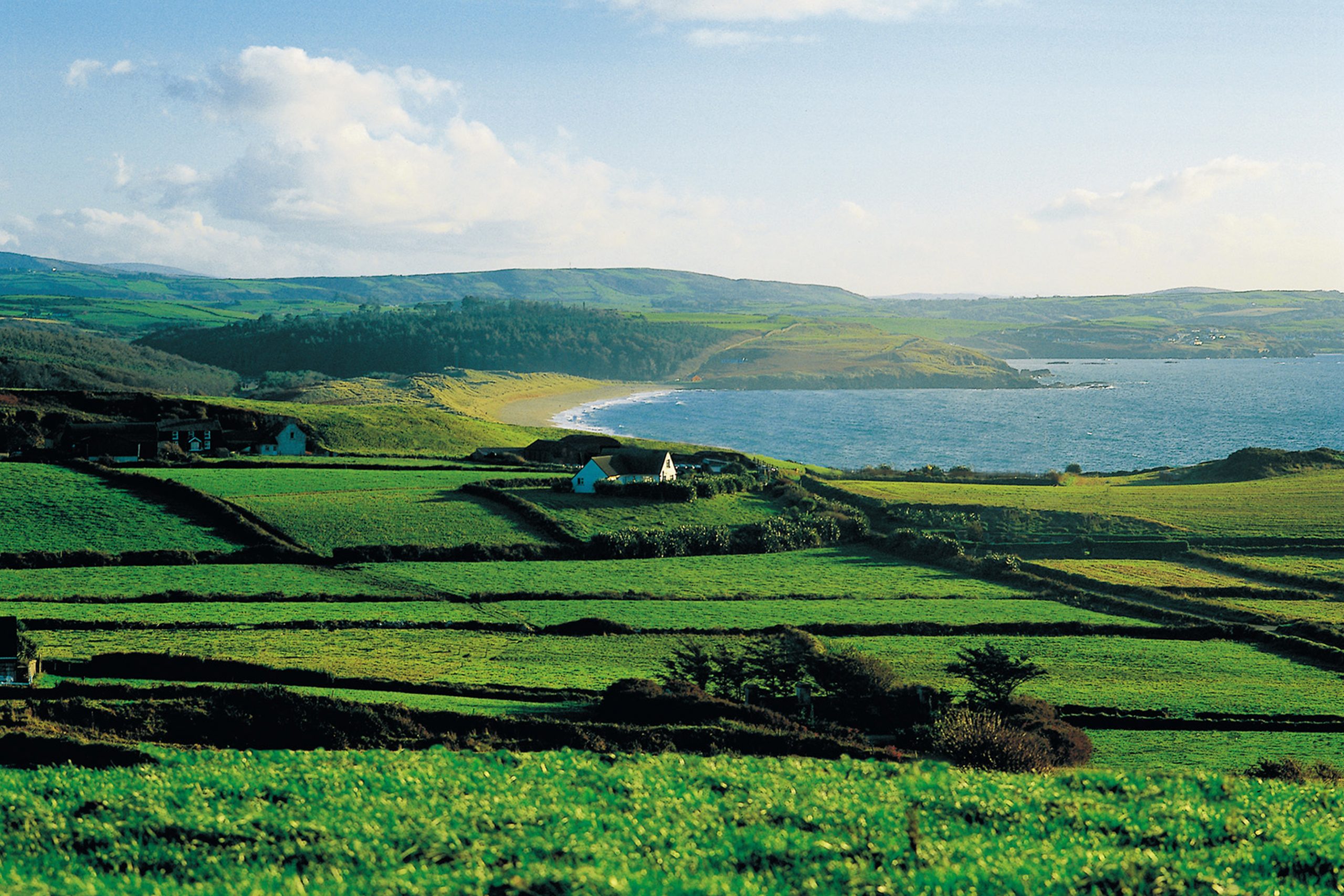 Green fields in Ireland beside coast