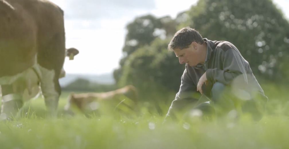 Farmer in field