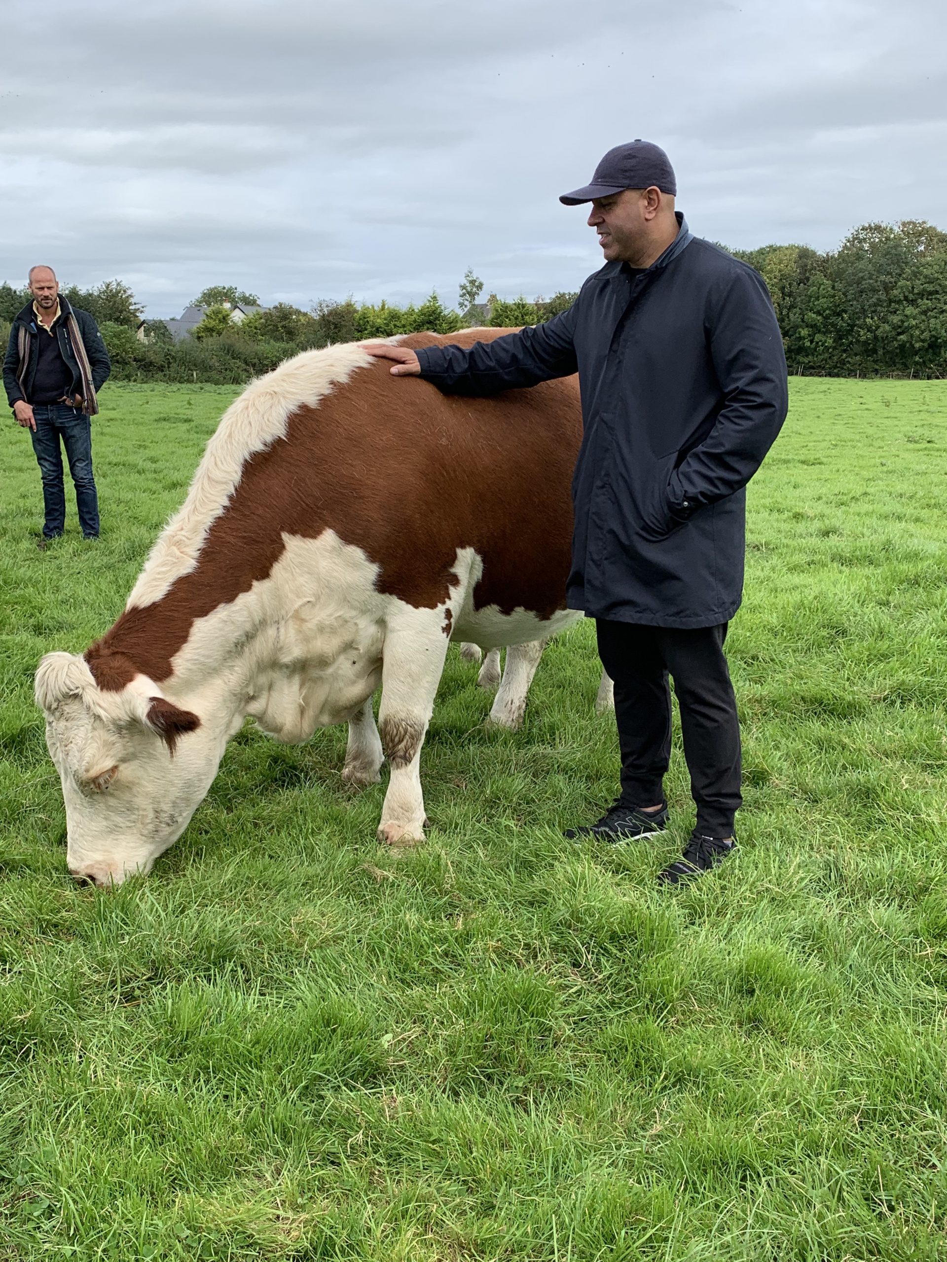 A chef in a field with his hand on a cow